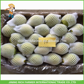 Top Quality Fresh Shandong Pear